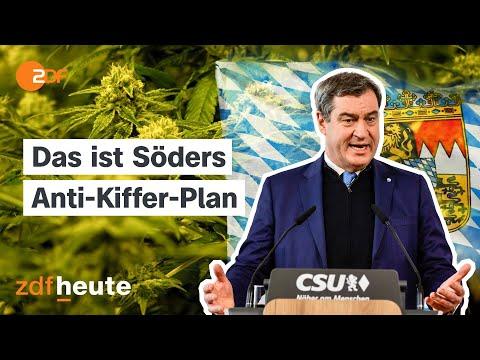 Bavaria's High Cannabis Fines: Are They Justified?