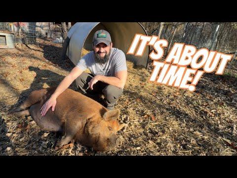Grandpa Doss Farms: A Day on the Farm Vlog