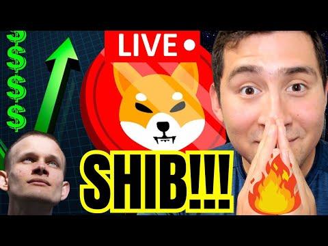 Unlocking the Potential of SHIBA INU Coin: Live Pump Insights 🚀