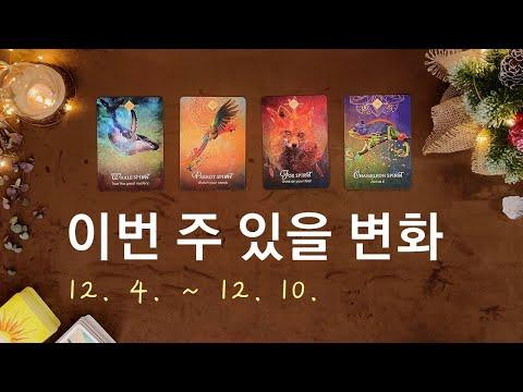 [타로/주간운세] 12월 첫째 주 종합운(12. 4. ~ 12. 10.)