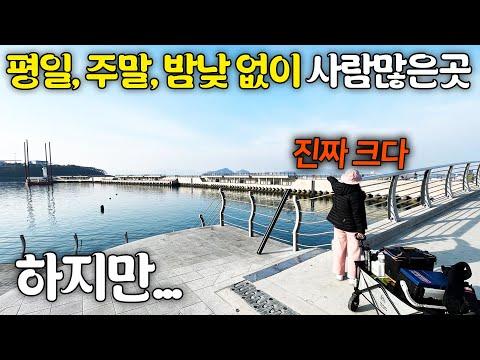 부산에서 두번째로 큰 섬 속의 엄청난 방파제.... 하지만 / 천성항