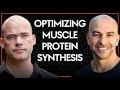 Unlocking the Secrets of Muscle Protein Synthesis for Optimal Performance