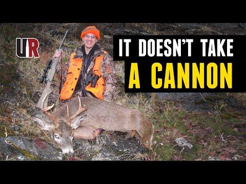 The Best Cartridges for Deer Hunting: A Comprehensive Guide