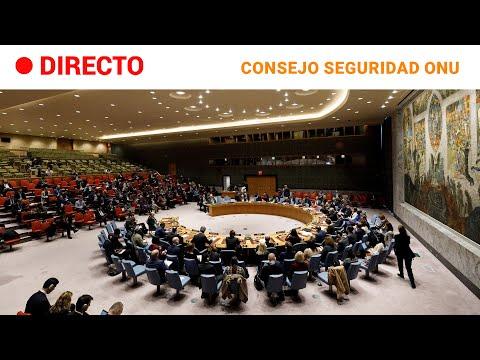 Consejo de Seguridad de la ONU: Resumen de la Reunión Tras el Ataque en Damasco