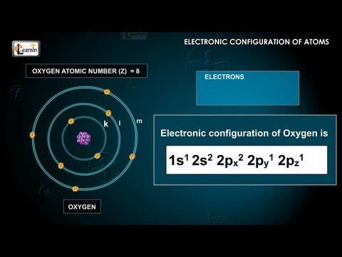 Understanding Electron Configuration and Hund's Rule in Chemistry