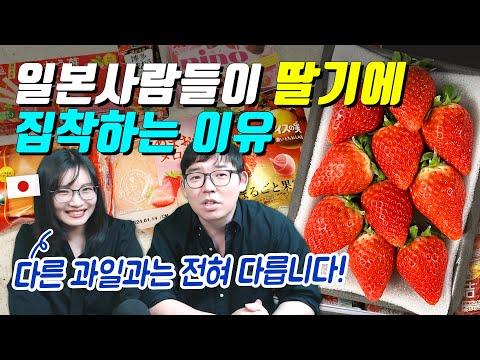 일본 딸기의 집착적 문화: 가격, 맛, 그리고 유통