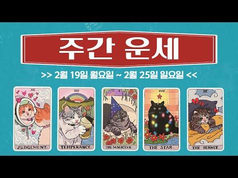 [타로/주간운세]2월 넷째 주/직장/금전/관계/애정/컨디션