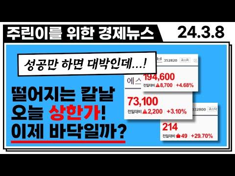 주식 시장 동향 및 기업 소식 업데이트