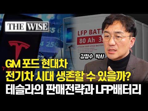 테슬라와 LFP배터리, GM과 포드, 현대차: 중저가 전기차 전환의 성공 전략