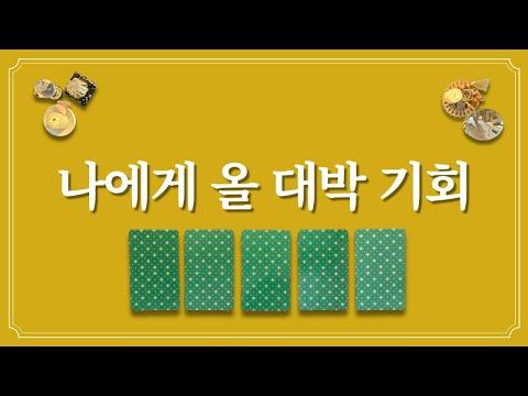 대박 기회를 놓치지 마세요! 타로 카드 운세와 미래 전망