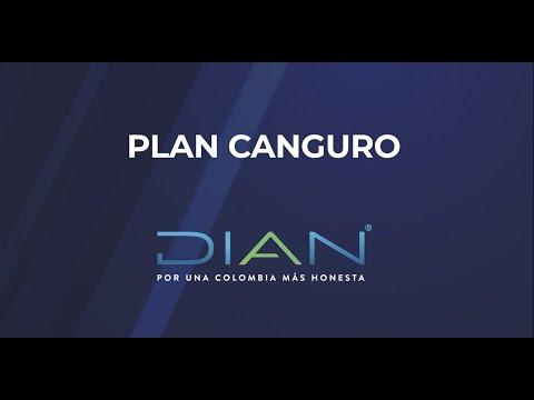 Plan Canguro: Capacitación Tributaria en la DIAN