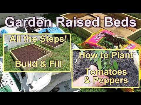 How to Build and Fill a Raised Garden Bed for Maximum Plant Growth 🌱