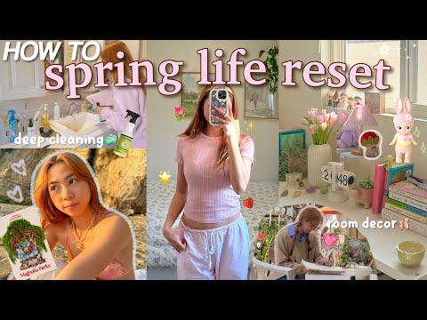 Revitalize Your Life with a Spring Reset 🌷