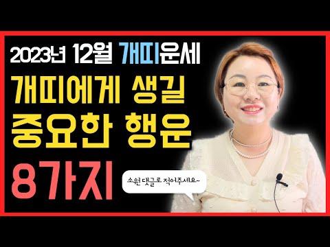 12월 개띠운세: 애정운, 직장운, 금전운, 사업운, 대인운, 처신법, 수호신, 행운컬러