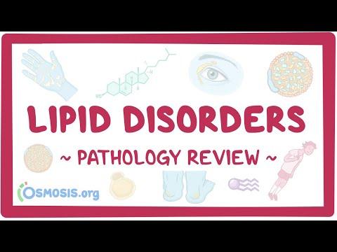 Understanding Lipid Disorders: A Comprehensive Guide