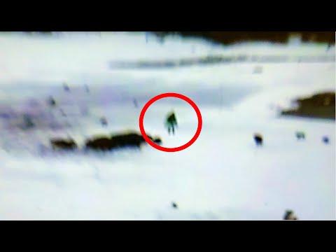 Unveiling the Mystery of Bigfoot in Yellowstone National Park