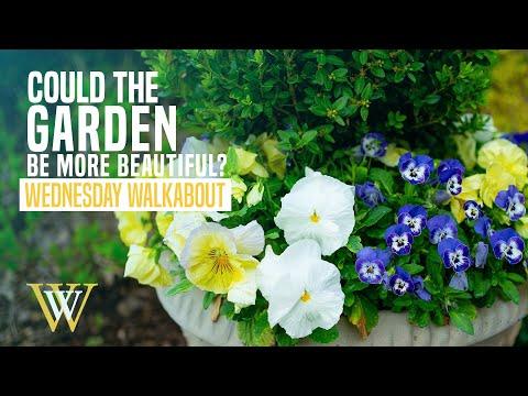 Experience the Beauty of the Front Spring Garden: A Visual Tour