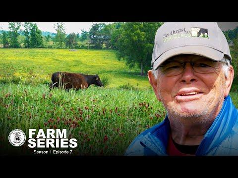 Unlocking the Secrets of Grass-Fed Angus Beef at Smithview Farm
