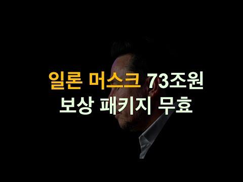 테슬라와 일론 머스크에 대한 다양한 시각과 논란