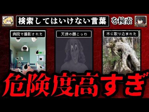 【衝撃映像】危険なYouTubeアカウント「アウル392」の秘密に迫る