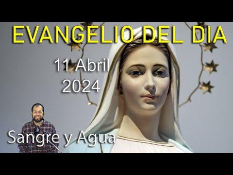 Estudiemos Más La Palabra de Dios: Reflexiones del Evangelio del Día