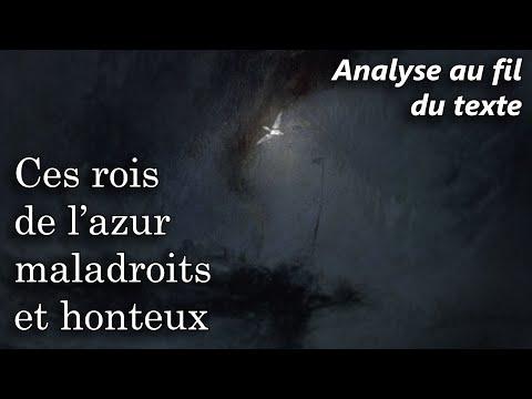 Analyse approfondie du poème L'Albatros de Baudelaire