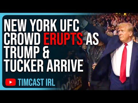 Exciting Highlights from UFC 295 and Political Insights: Trump, Abortion, and Biden