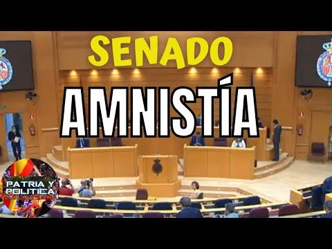 Impacto de la Ley de Amnistía en España: Análisis detallado desde el Senado