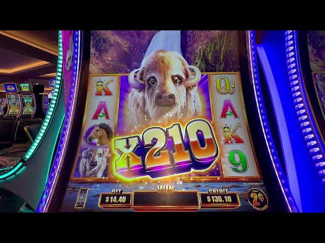 Big Wins and Disappointments: A YouTuber's Slot Machine Adventure