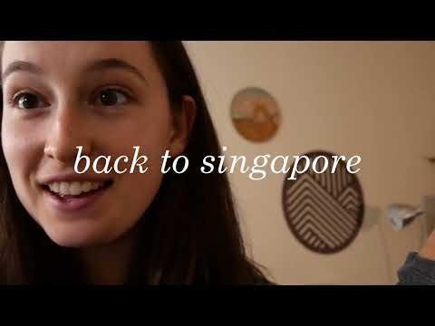 Exploring Singapore: From First Class Stress to Monkey Encounters