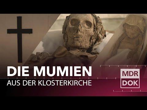 Faszinierende Entdeckung: Mumien in Riesa