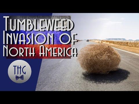 The Battle Against Invasive Tumbleweeds: A Historical Perspective