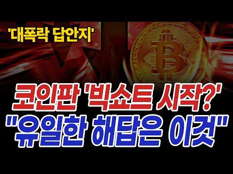 비트코인 시장 조정 및 전망: 최신 업데이트 및 투자 전략