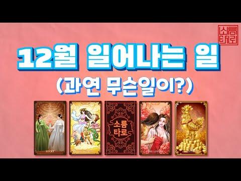 [타로/타로점]12월에 일어날 일은??