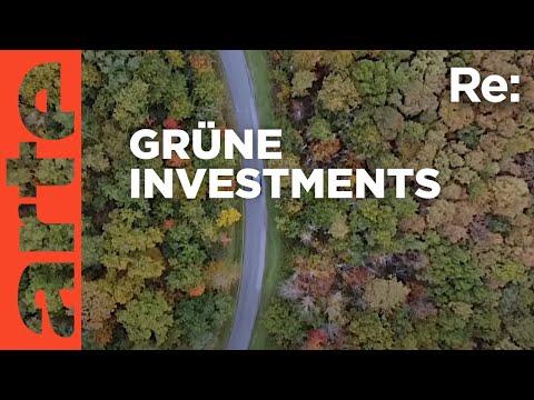 Nachhaltige Investition in den Wald: Grüne Geldanlage für die Zukunft