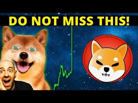 Breaking News: Shiba Inu Update and Investment Tips