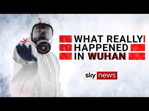 Uncovering the Truth: The Wuhan Lab Leak Theory