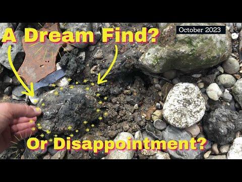 Uncovering History: Metal Detecting Adventures with Tobias Netto