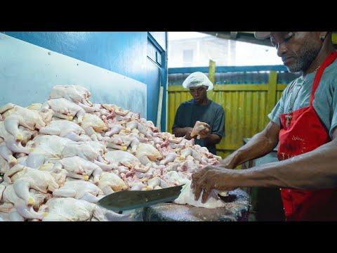 Discover the Best Jerk Chicken Experience in Port Antonio!