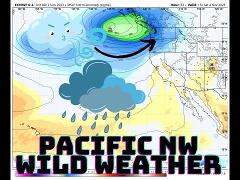 Wild Weather Alert: Heavy Rainfall and Gusty Winds in the Pacific Northwest