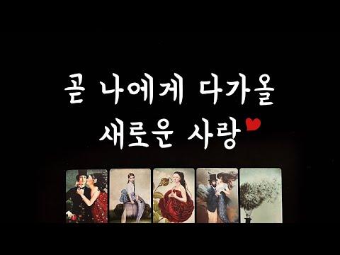 새로운 사랑을 기대하는 타로 카드 결과