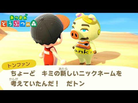 新しいアクティビティとキャラクターが話題｜あつまれどうぶつの森 #35