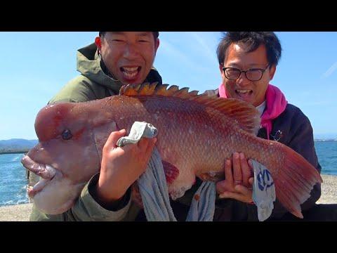 【驚異の釣果】初コラボで10kg超えの怪物が連発！