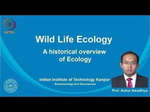 Discovering the Roots of Ecology: A Journey Through Time and Discoveries