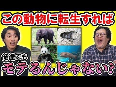 動物の特性による生存戦略についての興味深い考察