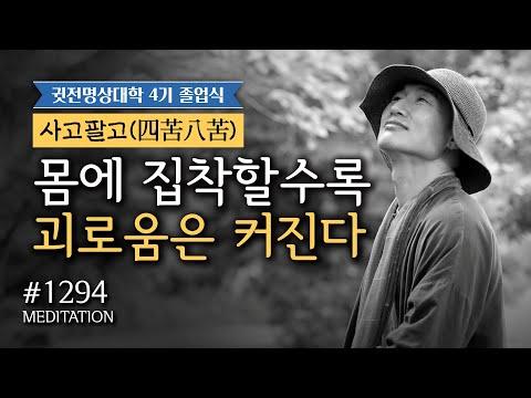 귓전명상대학 1294일차 수행: 몸에 집착할수록 괴로움은 커진다