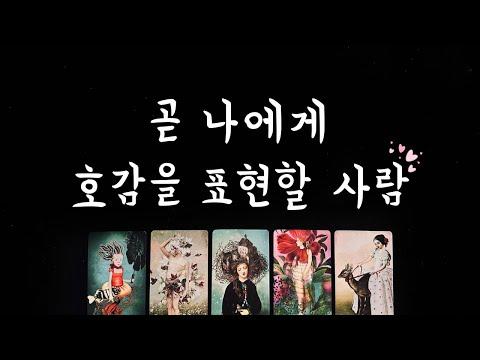 [타로] 곧 나에게 호감을 표현할 사람💘