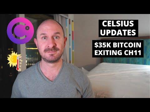 Understanding the Latest Updates on Crypto Fluctuations and Professional Expenses in Celsius Network