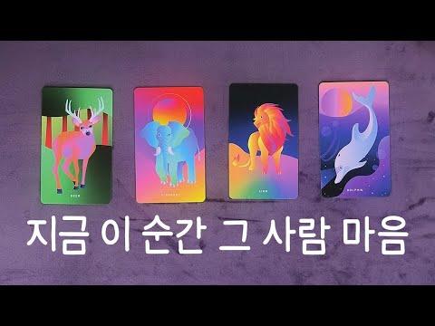 [타로] 코끼리와 사슴의 사랑, 상대방의 마음을 알아보는 방법