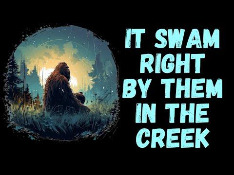 Mysterious Encounters in Northern California: The Bigfoot Chronicles